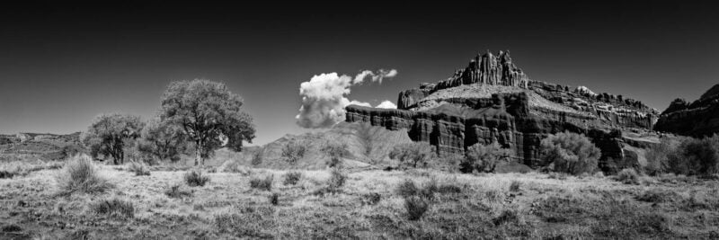 black and white,black and white photography,nature photography,landscape photography,amar guillen,wildlife photography