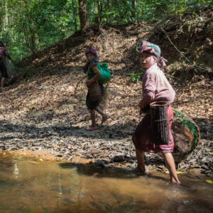 a camera traps captured a small group of local people to illegally trespass a restricted area to harvest and fish in order to supplement their diet, even if they are exposed to a fine. nakai nam theun national park. laos.