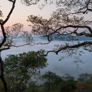 mist over forest at sunrise in nakai nam theun national protected area. laos. this protected area still remains largely forested.